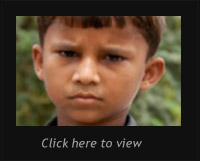 Description Text